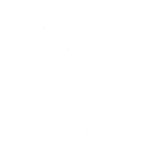 Shajarah | شجرة